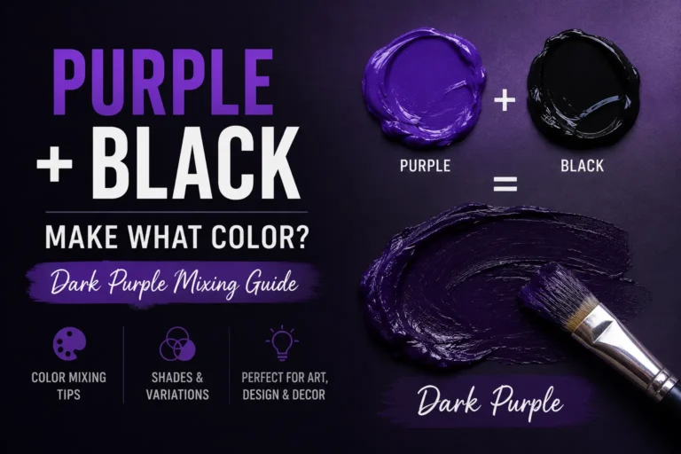 What Color Does Purple and Black Make When Mixed? Complete Guide